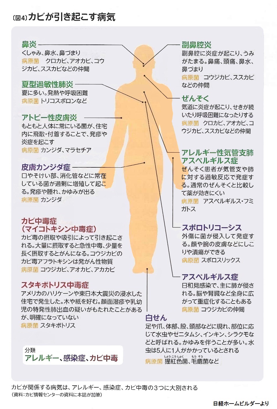 カビ汚染で健康被害 ブログ アイ ホーム株式会社