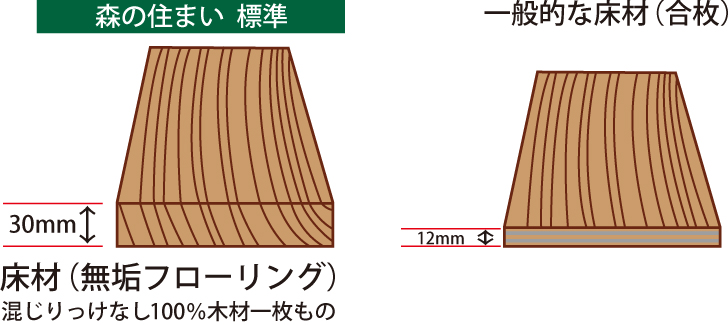 森の住まい  標準