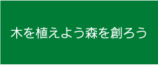 木を植えよう森を創ろう